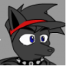 zsewqthewolf