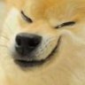 Doggomancer