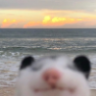 Blizzaga
